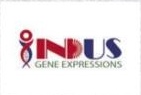 Indus Gene Expressions logo